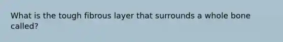 What is the tough fibrous layer that surrounds a whole bone called?