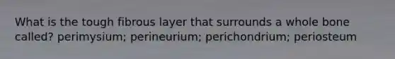 What is the tough fibrous layer that surrounds a whole bone called? perimysium; perineurium; perichondrium; periosteum