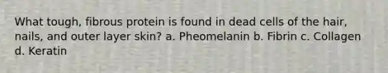 What tough, fibrous protein is found in dead cells of the hair, nails, and outer layer skin? a. Pheomelanin b. Fibrin c. Collagen d. Keratin