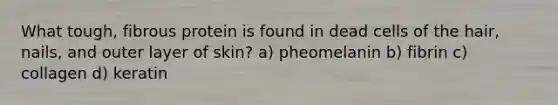 What tough, fibrous protein is found in dead cells of the hair, nails, and outer layer of skin? a) pheomelanin b) fibrin c) collagen d) keratin