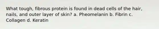 What tough, fibrous protein is found in dead cells of the hair, nails, and outer layer of skin? a. Pheomelanin b. Fibrin c. Collagen d. Keratin