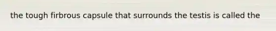 the tough firbrous capsule that surrounds the testis is called the