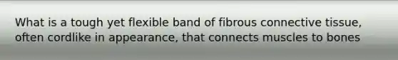 What is a tough yet flexible band of fibrous connective tissue, often cordlike in appearance, that connects muscles to bones