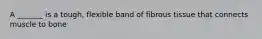 A _______ is a tough, flexible band of fibrous tissue that connects muscle to bone