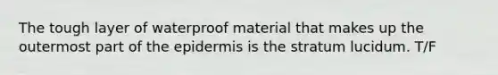 The tough layer of waterproof material that makes up the outermost part of the epidermis is the stratum lucidum. T/F