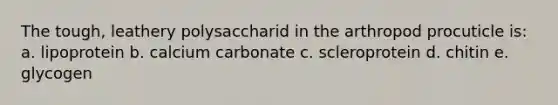 The tough, leathery polysaccharid in the arthropod procuticle is: a. lipoprotein b. calcium carbonate c. scleroprotein d. chitin e. glycogen