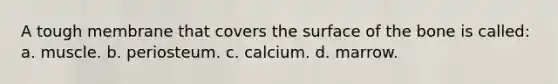 A tough membrane that covers the surface of the bone is called: a. muscle. b. periosteum. c. calcium. d. marrow.