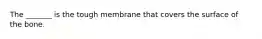 The _______ is the tough membrane that covers the surface of the bone.