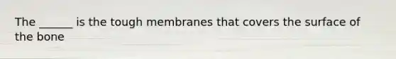 The ______ is the tough membranes that covers the surface of the bone