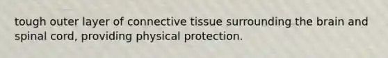 tough outer layer of connective tissue surrounding the brain and spinal cord, providing physical protection.