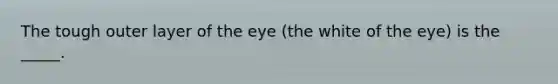 The tough outer layer of the eye (the white of the eye) is the _____.