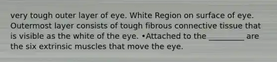 very tough outer layer of eye. White Region on surface of eye. Outermost layer consists of tough fibrous connective tissue that is visible as the white of the eye. •Attached to the _________ are the six extrinsic muscles that move the eye.