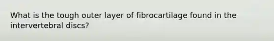 What is the tough outer layer of fibrocartilage found in the intervertebral discs?