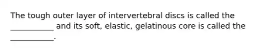 The tough outer layer of intervertebral discs is called the ___________ and its soft, elastic, gelatinous core is called the ___________.