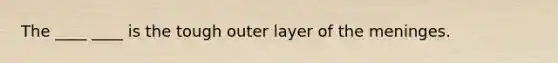 The ____ ____ is the tough outer layer of the meninges.