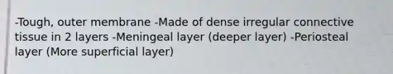 -Tough, outer membrane -Made of dense irregular connective tissue in 2 layers -Meningeal layer (deeper layer) -Periosteal layer (More superficial layer)