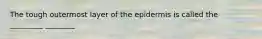 The tough outermost layer of the epidermis is called the _________ ________
