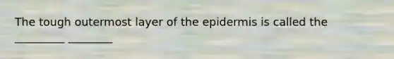 The tough outermost layer of the epidermis is called the _________ ________