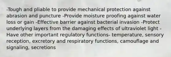 -Tough and pliable to provide mechanical protection against abrasion and puncture -Provide moisture proofing against water loss or gain -Effective barrier against bacterial invasion -Protect underlying layers from the damaging effects of ultraviolet light -Have other important regulatory functions- temperature, sensory reception, excretory and respiratory functions, camouflage and signaling, secretions