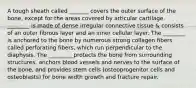 A tough sheath called _______ covers the outer surface of the bone, except for the areas covered by articular cartilage. ________ is made of dense irregular connective tissue & consists of an outer fibrous layer and an inner cellular layer. The ________ is anchored to the bone by numerous strong collagen fibers called perforating fibers, which run perpendicular to the diaphysis. The _________protects the bone from surrounding structures, anchors blood vessels and nerves to the surface of the bone, and provides stem cells (osteoprogenitor cells and osteoblasts) for bone width growth and fracture repair.