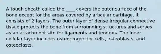 A tough sheath called the ____ covers the outer surface of the bone except for the areas covered by articular cartilage. It consists of 2 layers. The outer layer of dense irregular <a href='https://www.questionai.com/knowledge/kYDr0DHyc8-connective-tissue' class='anchor-knowledge'>connective tissue</a> protects the bone from surrounding structures and serves as an attachment site for ligaments and tendons. The inner cellular layer includes osteoprogenitor cells, osteoblasts, and osteoclasts.