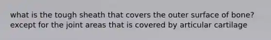 what is the tough sheath that covers the outer surface of bone? except for the joint areas that is covered by articular cartilage