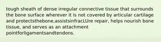 tough sheath of dense irregular <a href='https://www.questionai.com/knowledge/kYDr0DHyc8-connective-tissue' class='anchor-knowledge'>connective tissue</a> that surrounds the bone surface wherever it is not covered by articular cartilage and protectsthebone,assistsinfracLUre repair, helps nourish bone tissue, and serves as an attachment pointforligamentsandtendons.