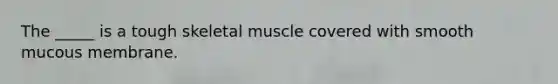 The _____ is a tough skeletal muscle covered with smooth mucous membrane.