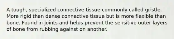 A tough, specialized connective tissue commonly called gristle. More rigid than dense connective tissue but is more flexible than bone. Found in joints and helps prevent the sensitive outer layers of bone from rubbing against on another.