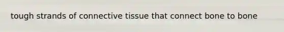 tough strands of connective tissue that connect bone to bone
