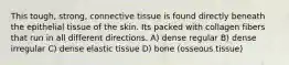 This tough, strong, connective tissue is found directly beneath the epithelial tissue of the skin. Its packed with collagen fibers that run in all different directions. A) dense regular B) dense irregular C) dense elastic tissue D) bone (osseous tissue)