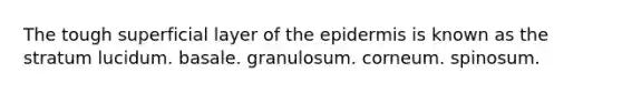 The tough superficial layer of the epidermis is known as the stratum lucidum. basale. granulosum. corneum. spinosum.