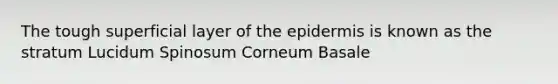 The tough superficial layer of the epidermis is known as the stratum Lucidum Spinosum Corneum Basale