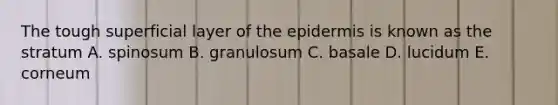 The tough superficial layer of the epidermis is known as the stratum A. spinosum B. granulosum C. basale D. lucidum E. corneum