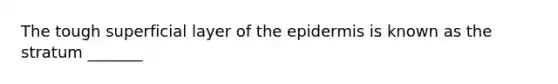 The tough superficial layer of the epidermis is known as the stratum _______