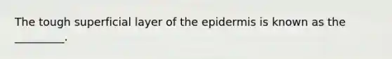 The tough superficial layer of the epidermis is known as the _________.