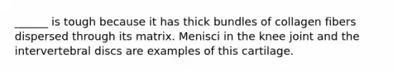 ______ is tough because it has thick bundles of collagen fibers dispersed through its matrix. Menisci in the knee joint and the intervertebral discs are examples of this cartilage.