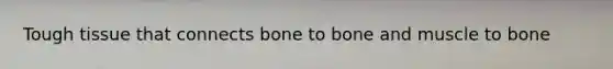 Tough tissue that connects bone to bone and muscle to bone