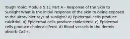 Tough Topic: Module 5.11 Part A - Response of the Skin to Sunlight What is the initial response of the skin to being exposed to the ultraviolet rays of sunlight? a) Epidermal cells produce calcitriol. b) Epidermal cells produce cholesterol. c) Epidermal cells produce cholecalciferol. d) Blood vessels in the dermis absorb Ca2+.