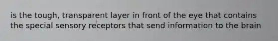 is the tough, transparent layer in front of the eye that contains the special sensory receptors that send information to the brain