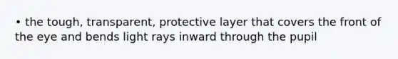 • the tough, transparent, protective layer that covers the front of the eye and bends light rays inward through the pupil