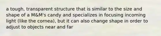 a tough, transparent structure that is similar to the size and shape of a M&M's candy and specializes in focusing incoming light (like the cornea), but it can also change shape in order to adjust to objects near and far