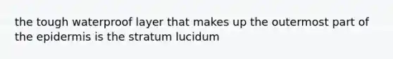 the tough waterproof layer that makes up the outermost part of <a href='https://www.questionai.com/knowledge/kBFgQMpq6s-the-epidermis' class='anchor-knowledge'>the epidermis</a> is the stratum lucidum