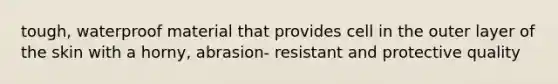 tough, waterproof material that provides cell in the outer layer of the skin with a horny, abrasion- resistant and protective quality