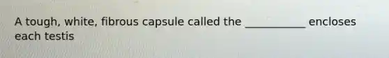 A tough, white, fibrous capsule called the ___________ encloses each testis