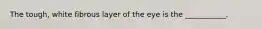 The tough, white fibrous layer of the eye is the ___________.