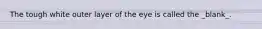 The tough white outer layer of the eye is called the _blank​_.