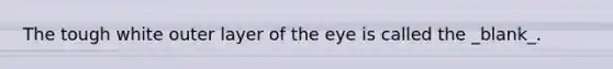 The tough white outer layer of the eye is called the _blank​_.