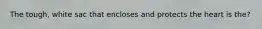 The tough, white sac that encloses and protects the heart is the?