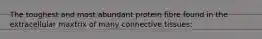The toughest and most abundant protein fibre found in the extracellular maxtrix of many connective tissues: